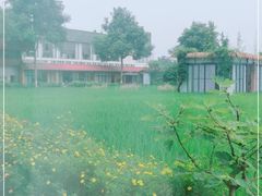 -洪湖家庭农场·团建·露营·会议