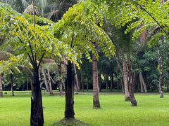 -中国科学院西双版纳热带植物园