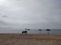 -东戴河风景区-止锚湾