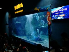 -郑州海洋馆