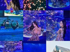 -石家庄极地海洋世界