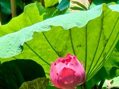 -烟桥私房菜馆(奋哥)