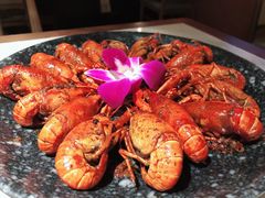 龙虾-哥老官重庆美蛙鱼头(松江地中海十八哥店)
