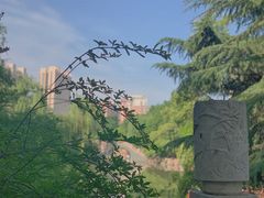 -西苑公园
