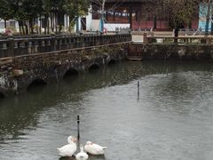 -苏州文庙(姑苏区)