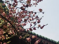 -开封府