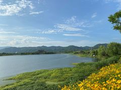 -深圳凯宾斯基酒店