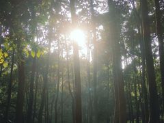 -广州市帽峰山景区