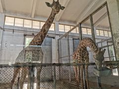 -石家庄市动物园