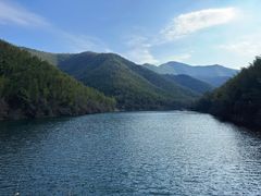 -紫藤园·天目湖大鱼头(南山竹海店)