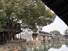 -乌镇东栅景区