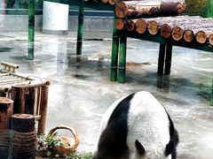 -天津市动物园