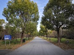 -上海海湾国家森林公园