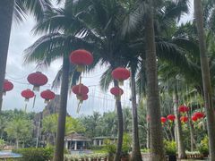 -海口观澜湖火山温泉谷