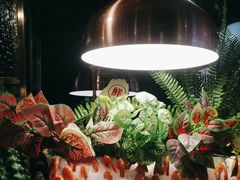 -炭烤麻里·臻选自助烤肉料理(观音桥大融城店)