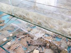 -西门岛码头海鲜馆