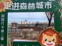 -莲花池公园