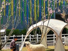 -金鸡湖桃花岛