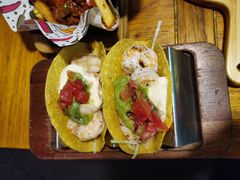 -Famous肥猫墨西哥音乐餐吧(五棵松华熙LIVE店)