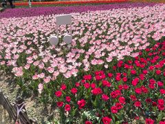 -苏州上方山国家森林公园