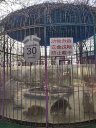 -萌宠亲子动物乐园(槐房万达店)