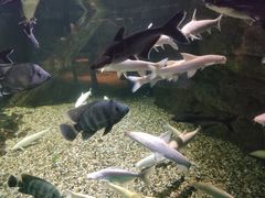-常州海昌海洋探索馆