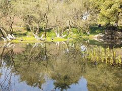 -柳浪闻莺公园