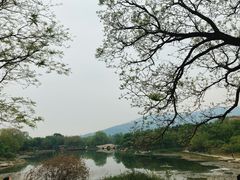 -国家植物园