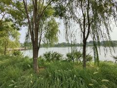 -东郊湿地公园