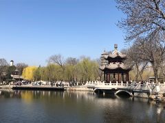 -静园(和平区)