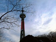 -南京古林公园