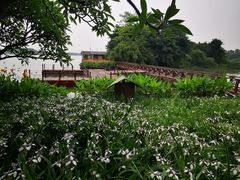 -海珠湖公园
