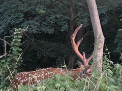 -大堂吧·下午茶·特调鸡尾酒(大连一方城堡豪华精选酒店)