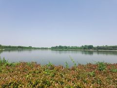 园内大池塘-西部兰花园生态园