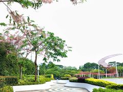 -深圳国际园林花卉博览园