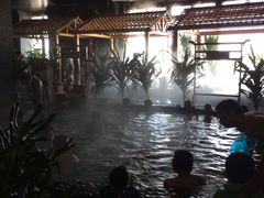 -陆地游轮吉林神农温泉