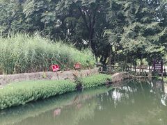 -成都市活水公园