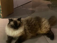 -Estaeslavida分享茄雪茄吧(亿彩购物中心店)