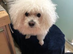 -宠颐生嘉德动物医院