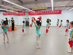 -舞蕾舞蹈·专注中国舞18年(天通苑中心校区)