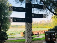 -丁香湖公园