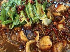 江团-都江堰石锅鱼