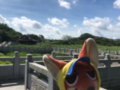 -水濂山水库景点停车场