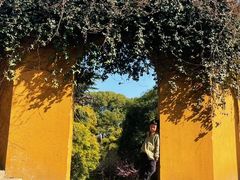 -苏州上方山国家森林公园