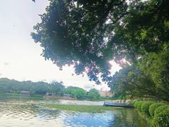 -荔湾湖公园