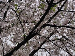 -苏州上方山国家森林公园