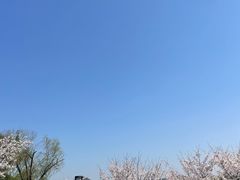 -羊山湖公园