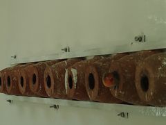 -青藏高原野生动物园