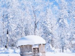 -哈尔滨热雪奇迹