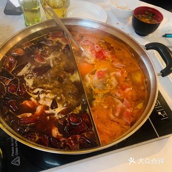 我们开了一天车，从伦敦到谢飞，路上基本没有停车